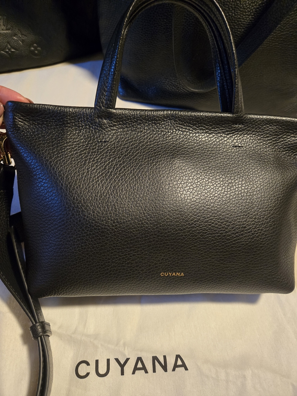 Cuyana Mini Easy Zipper Tote - Picture 8 of 10